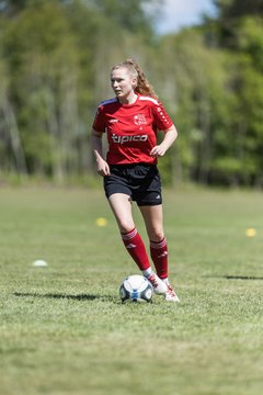 Bild 22 - F SG NieBar - IF Stjernen Flensborg : Ergebnis: 2:0